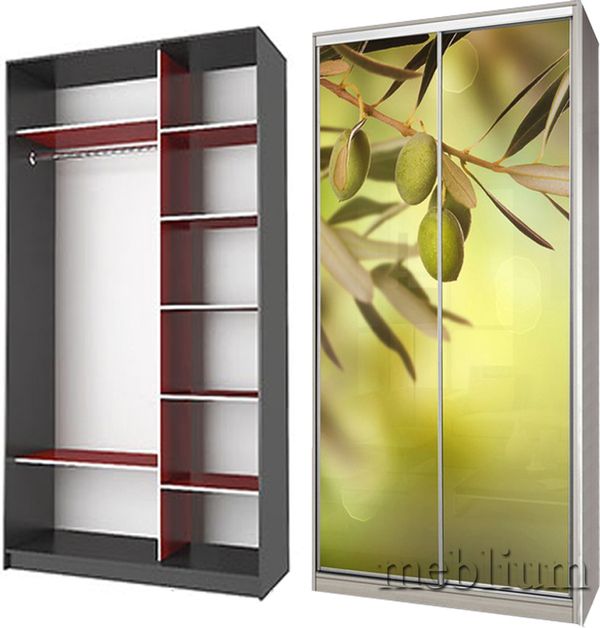 Шкаф-купе Флэш 1200-15