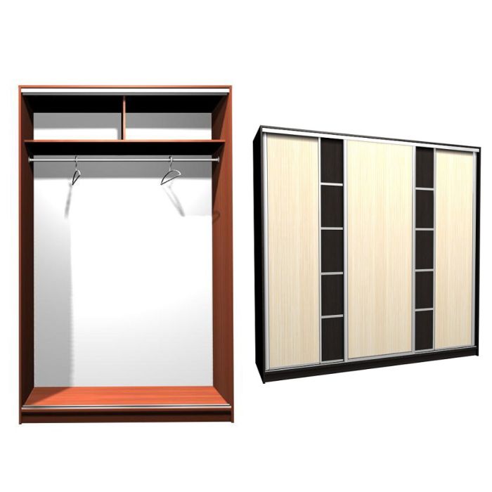 Шкаф-купе Ника-10 ск. комбо Д-З-20