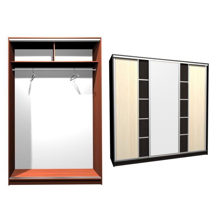 Шкаф-купе Ника-10 ск. комбо Д-З-20