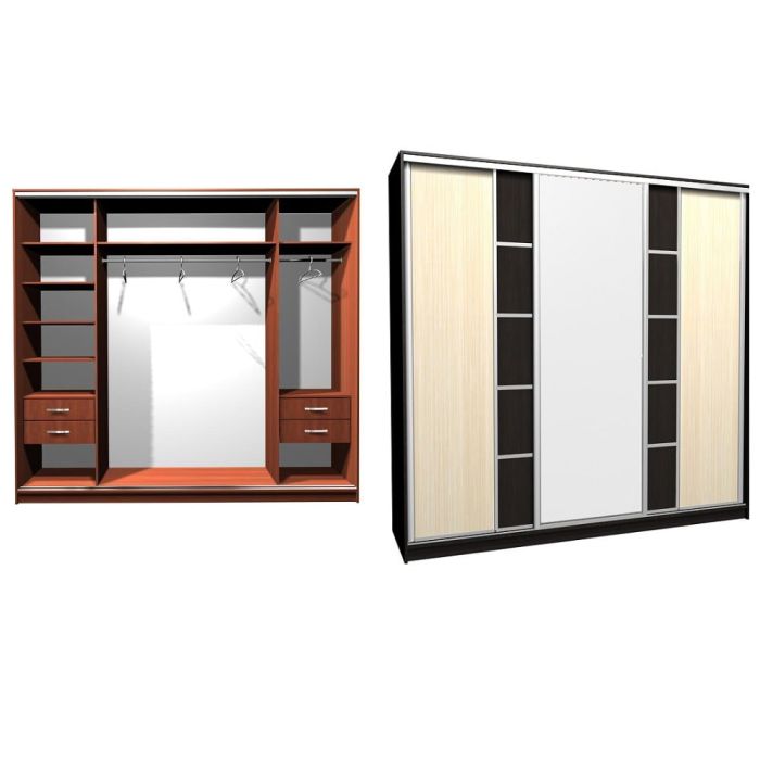 Шкаф-купе Ника-17 ск. комбо Д-З -20