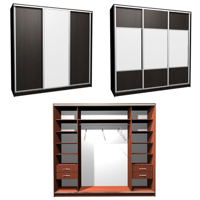 Шкаф-купе Ника-18 комбо Д-З -20