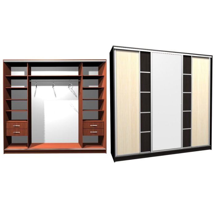 Шкаф-купе Ника-18 ск. комбо Д-З -20