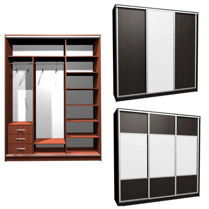 Шкаф-купе Ника-19 комбо Д-З -20