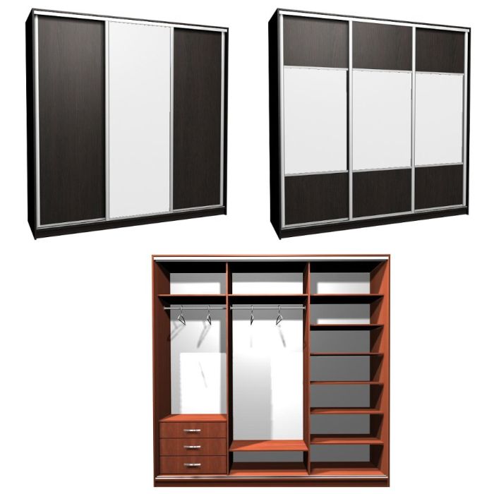 Шкаф-купе Ника-2 комби Д-З-20