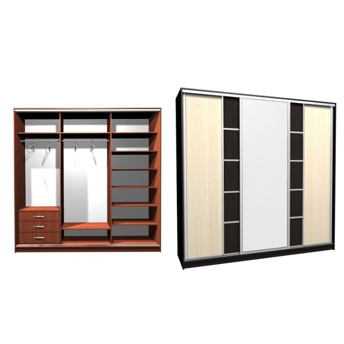 Шкаф-купе Ника-2 ск. комби Д-З-20