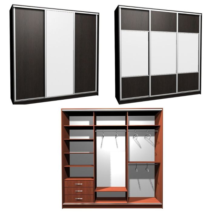 Шкаф-купе Ника-3 комби Д-З-20