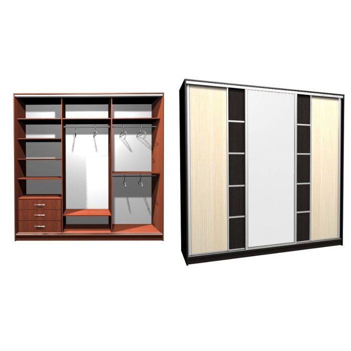 Шкаф-купе Ника-3 ск. комби Д-З-20