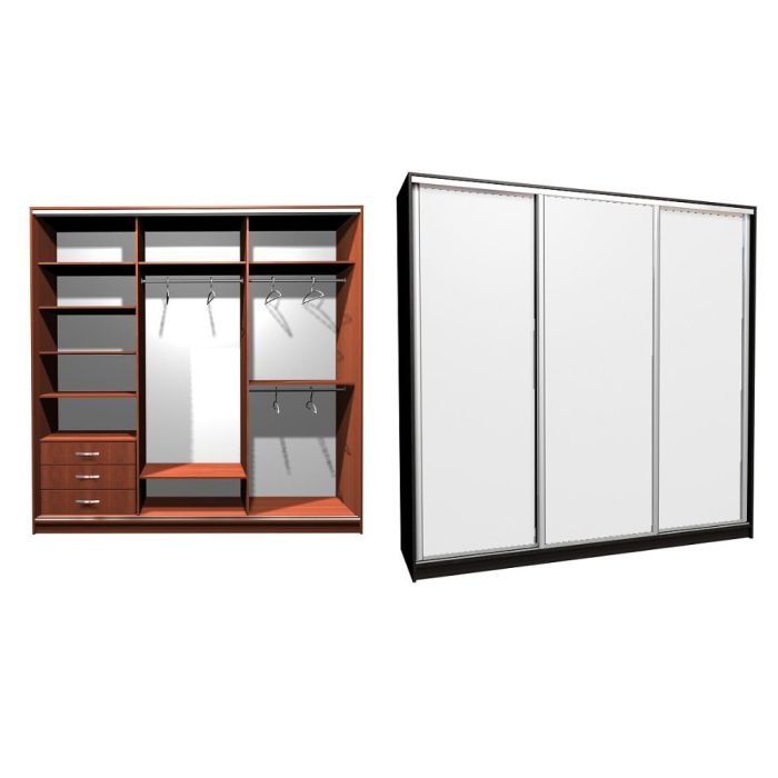 Шкаф-купе Ника-3 Зеркало-20