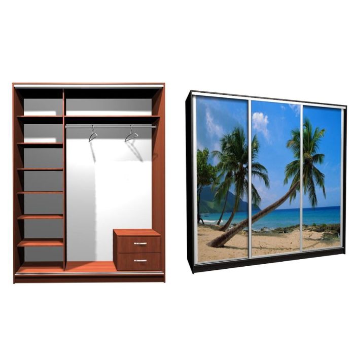 Шкаф-купе Ника-4 Фото-20