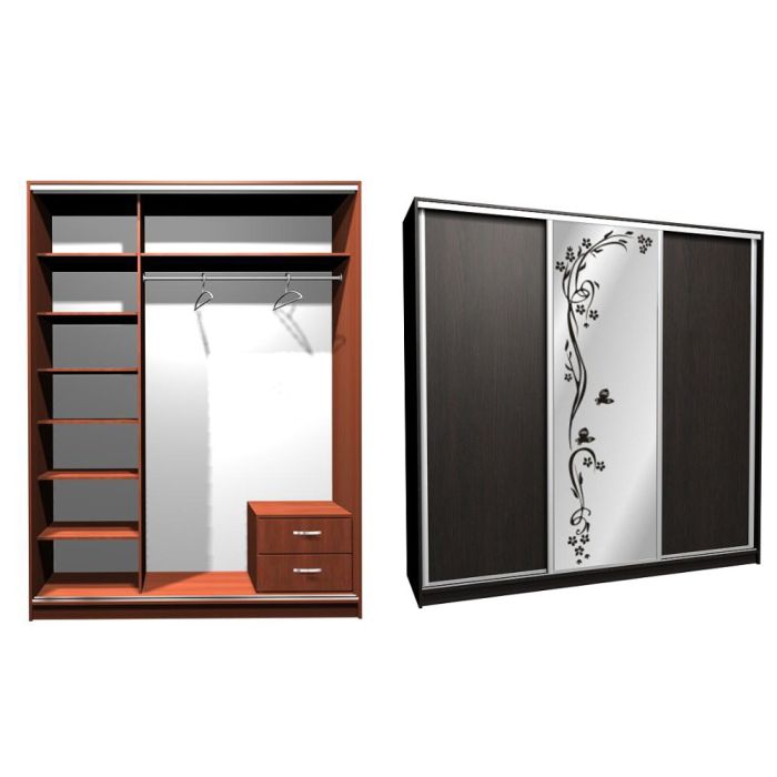 Шкаф-купе Ника-4 комби Д-П-20