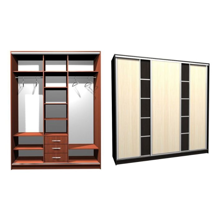 Шкаф-купе Ника-5 ск. комби Д-Д-20