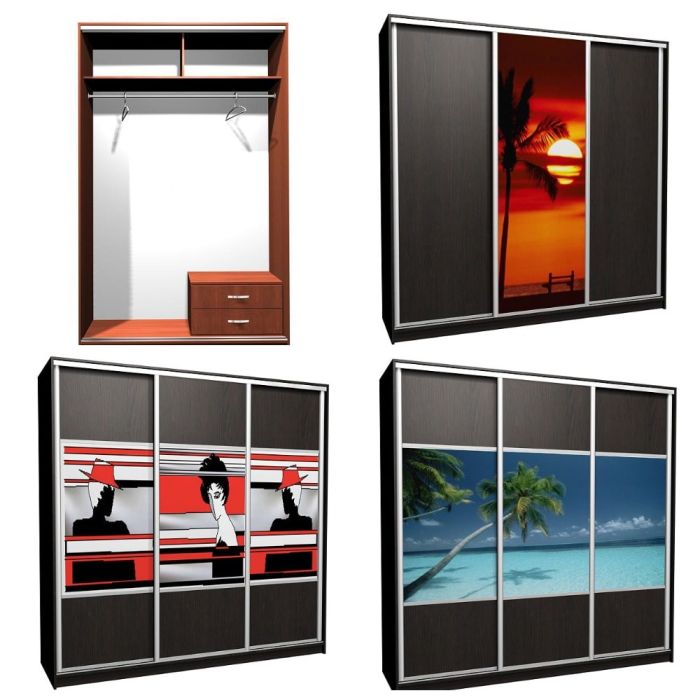 Шкаф-купе Ника-8 комби Д-Ф-20