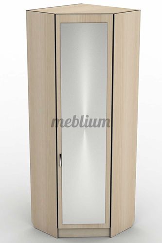 Шкаф ШОУ-1-53