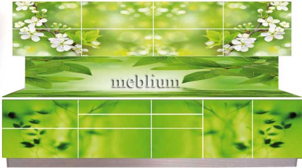 Кухня meblium 23-72. Дсп swisspan, kronospan с фотопечатью - от 3560 гр. за 1м.п
