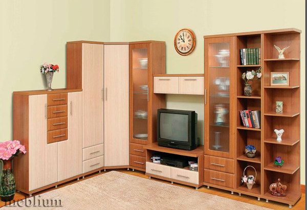 Гостинная Дебют-2-66