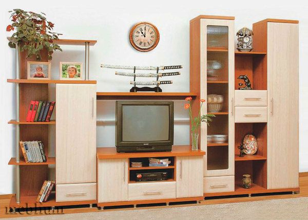 Гостинная Дебют-5-66