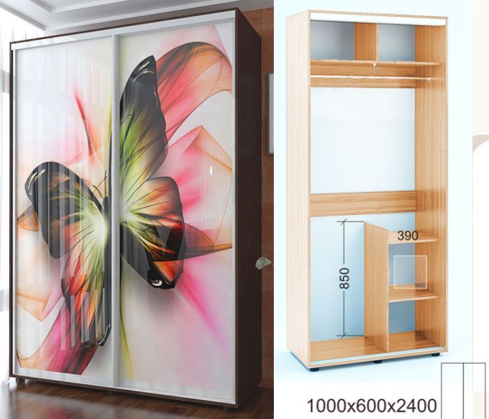 Шкаф-купе Лайт 1000-65