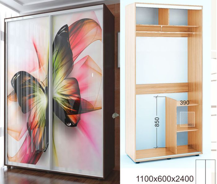 Шкаф-купе Лайт 1100-65