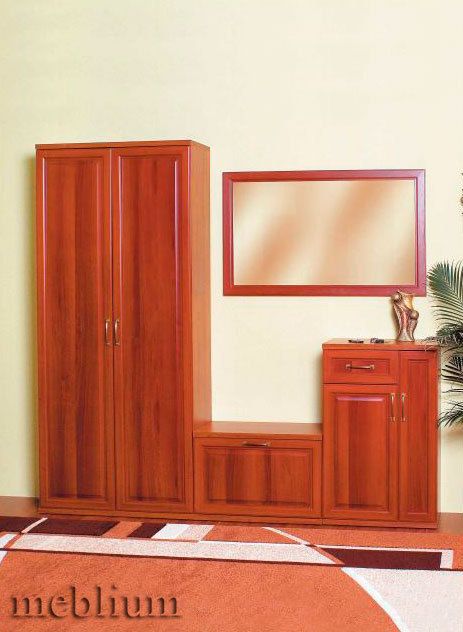 (СНЯТО С ПРОИЗВОДСТВА) Прихожая Модена-1-66