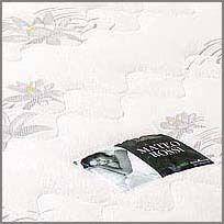 (СНЯТО С ПРОИЗВОДСТВА) Кровать Атлант 3-29