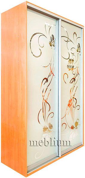 Шкаф-купе Стандарт 1600-65 Венге магия: 1 фасад - дсп венге, 1 фасад - чистое зеркало, 1600х450х2400