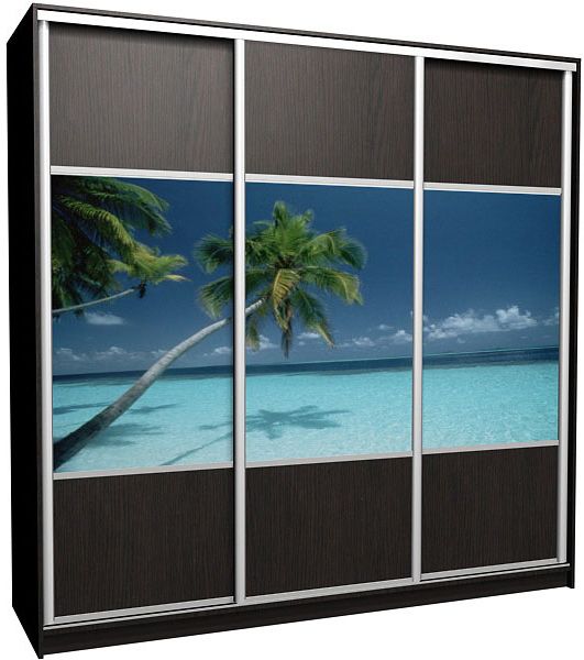 Шкаф-купе Ника-9 комби Д-Ф-20